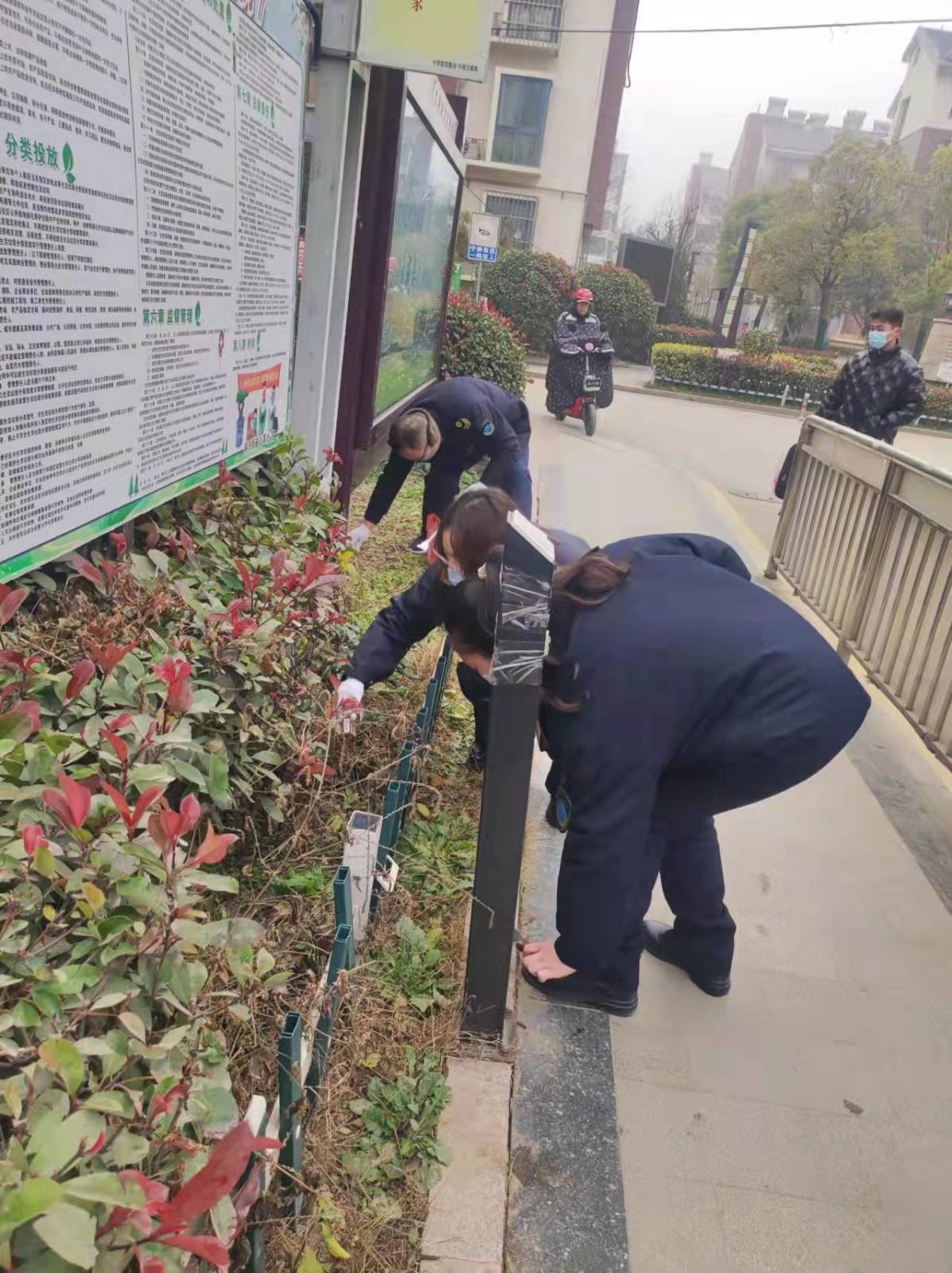 8鼓楼区卫生监督所积极参加文明典范城市创建活动(2)曾潮怡.jpg